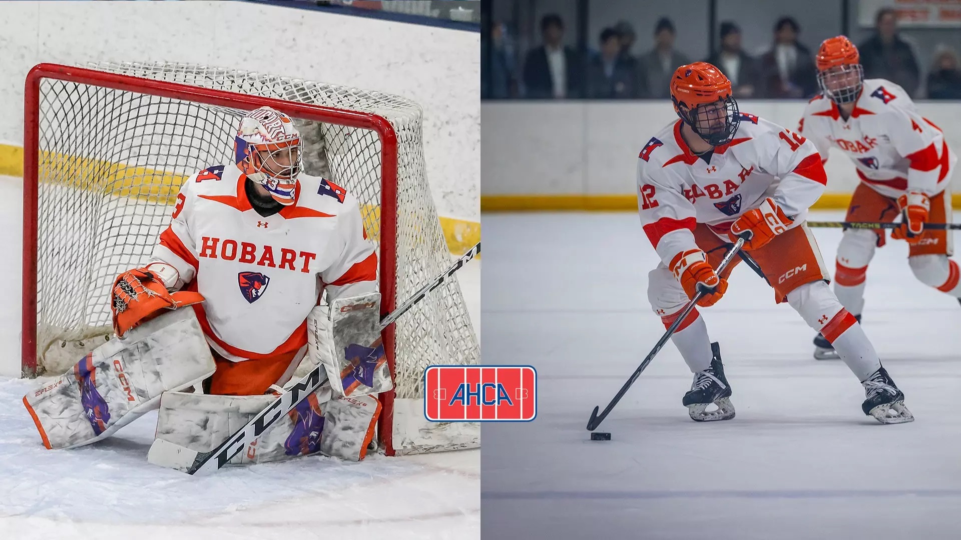 Four Statesmen Earn All-American Honors